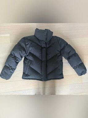 Aritzia The Cloud Puff - Wilfred puffer jacket